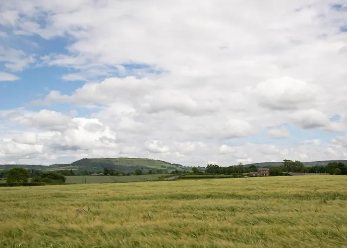 2 Bed In Middlesbrough Oc-75544 Hébergement de vacances *