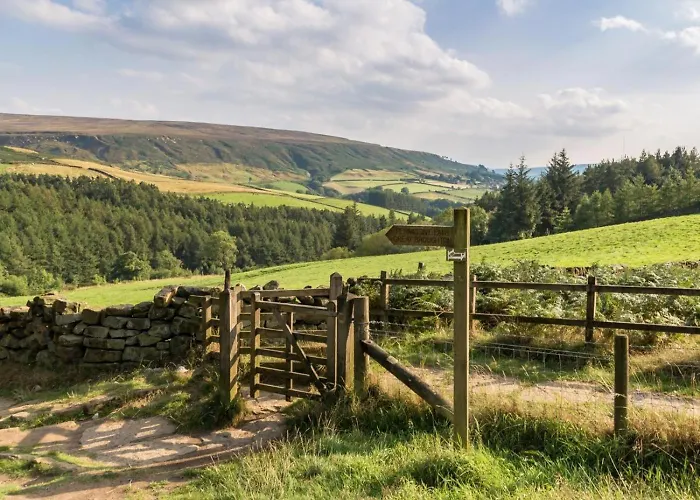 Hébergement de vacances 2 Bed In Middlesbrough Oc-75544