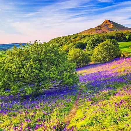 2 Bed In 75544 Feriehus