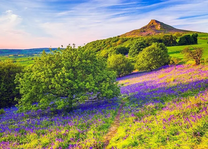 2 Bed In Middlesbrough Oc-75544 Holiday home